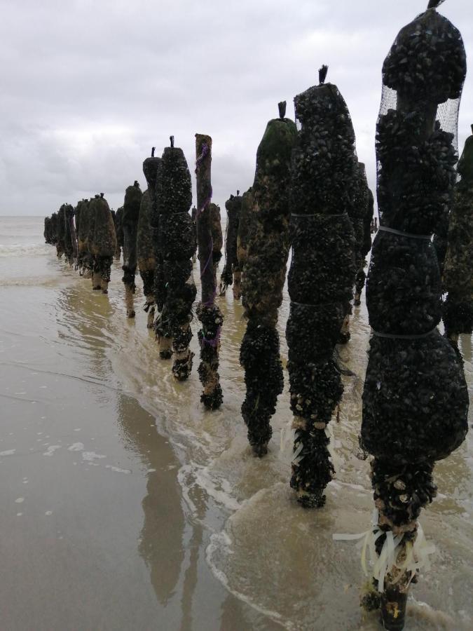 Le Cocon Des Dunes Quend Luaran gambar